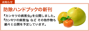 お知らせ 防除ハンドブックの新刊 『キュウリ、スイカ、メロンの病害虫』を3月初旬に公開予定。『カンキツの病害虫』など、その他作物も続々と公開を予定しています。