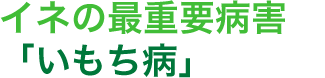 イネの最重要病害「いもち病」