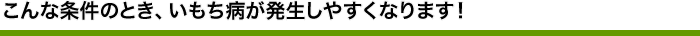 こんな条件のとき、いもち病が発生しやすくなります！