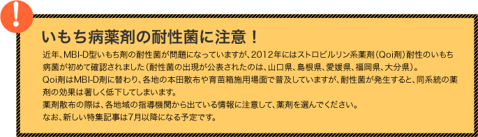 いもち病薬剤の耐性菌に注意！ 近年、いもち病剤でMBI-D型耐性菌が各地で出現し、問題になっています。耐性菌は発生すると、その系統の薬剤の効果が著しく低下してしまいます。薬剤散布の際は、各地域の指導機関から出ている情報に注意して薬剤を選んでください。