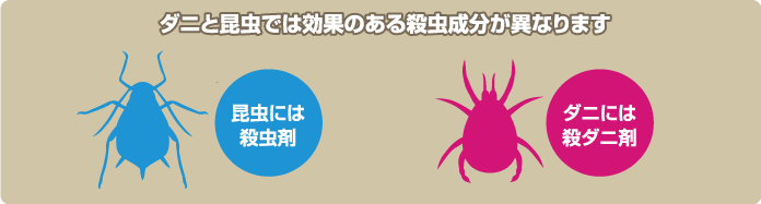 ダニと昆虫では効果のある殺虫成分が異なります（昆虫には殺虫剤、ダニには殺ダニ剤）