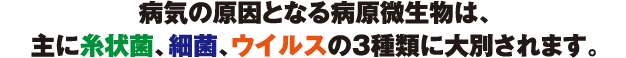 病気の原因となる病原微生物は、
主に糸状菌、細菌、ウイルスの3種類に大別されます。